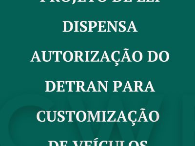 customização